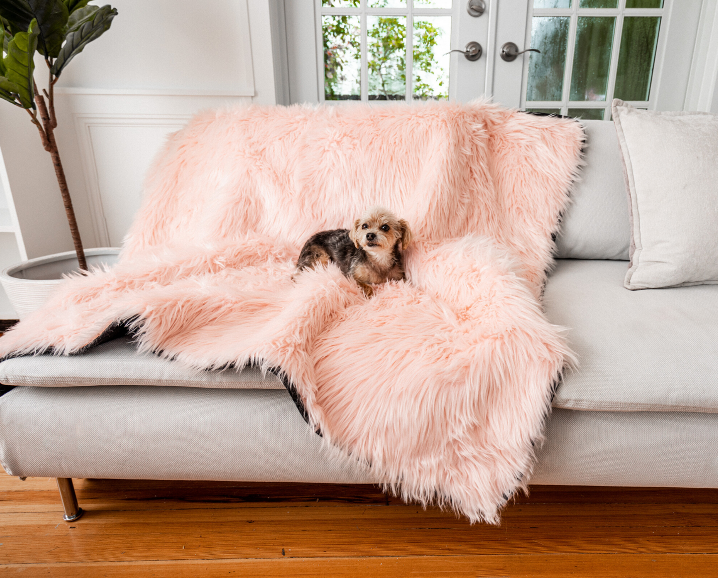 PupProtector™ Waterproof Throw Blanket - Blush Pink