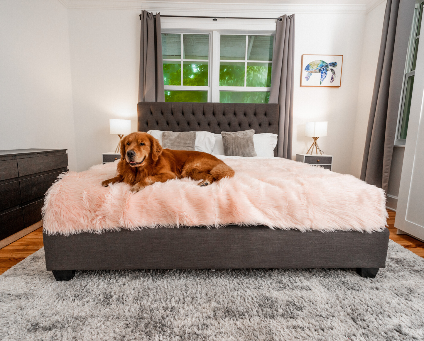 PupProtector™ Waterproof Throw Blanket - Blush Pink