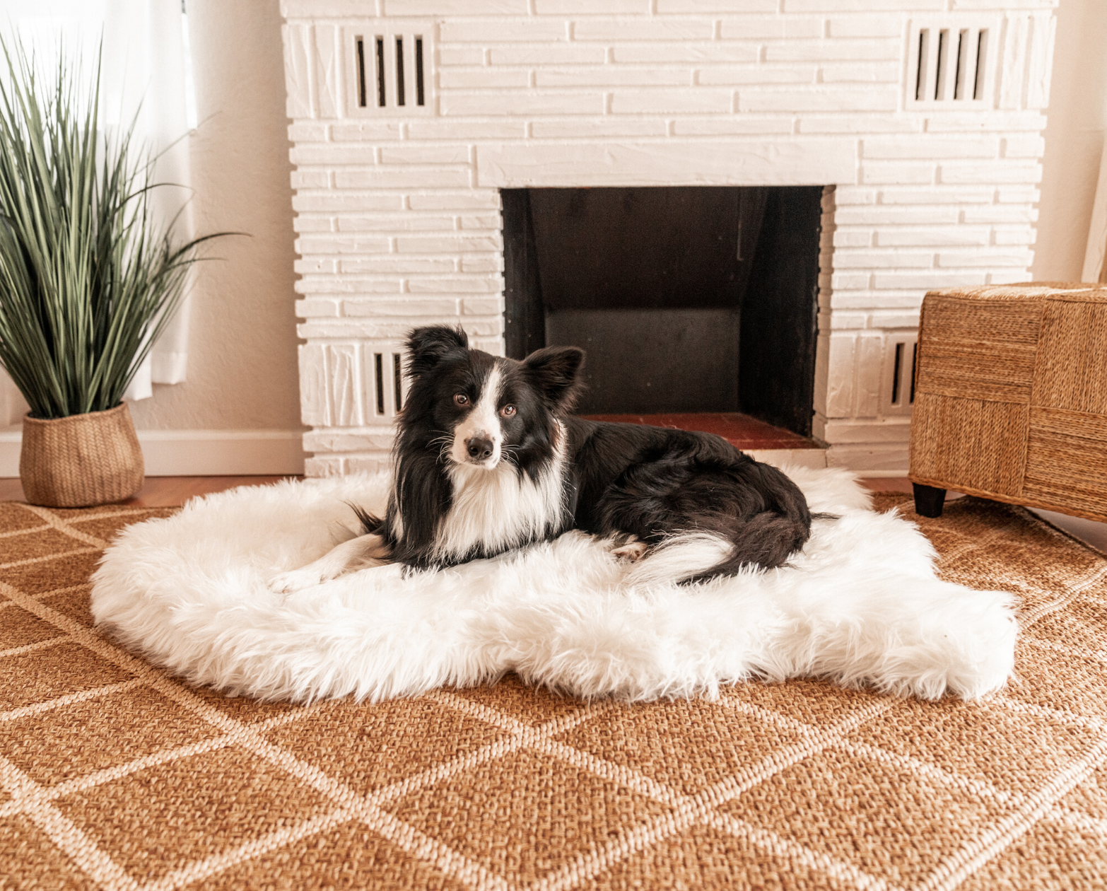 PupRug™ Faux Fur Orthopedic Dog Bed - Curve Polar White