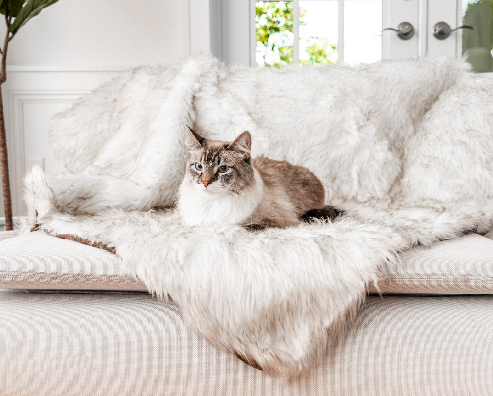 CatNap™ Anti-Scratch & Waterproof Throw Blanket - White