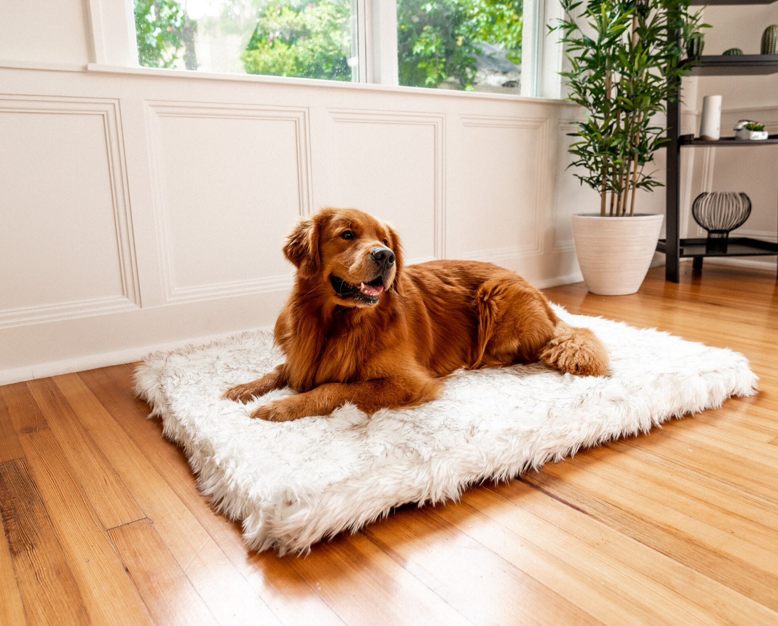 Fur Orthopedic Dog Bed