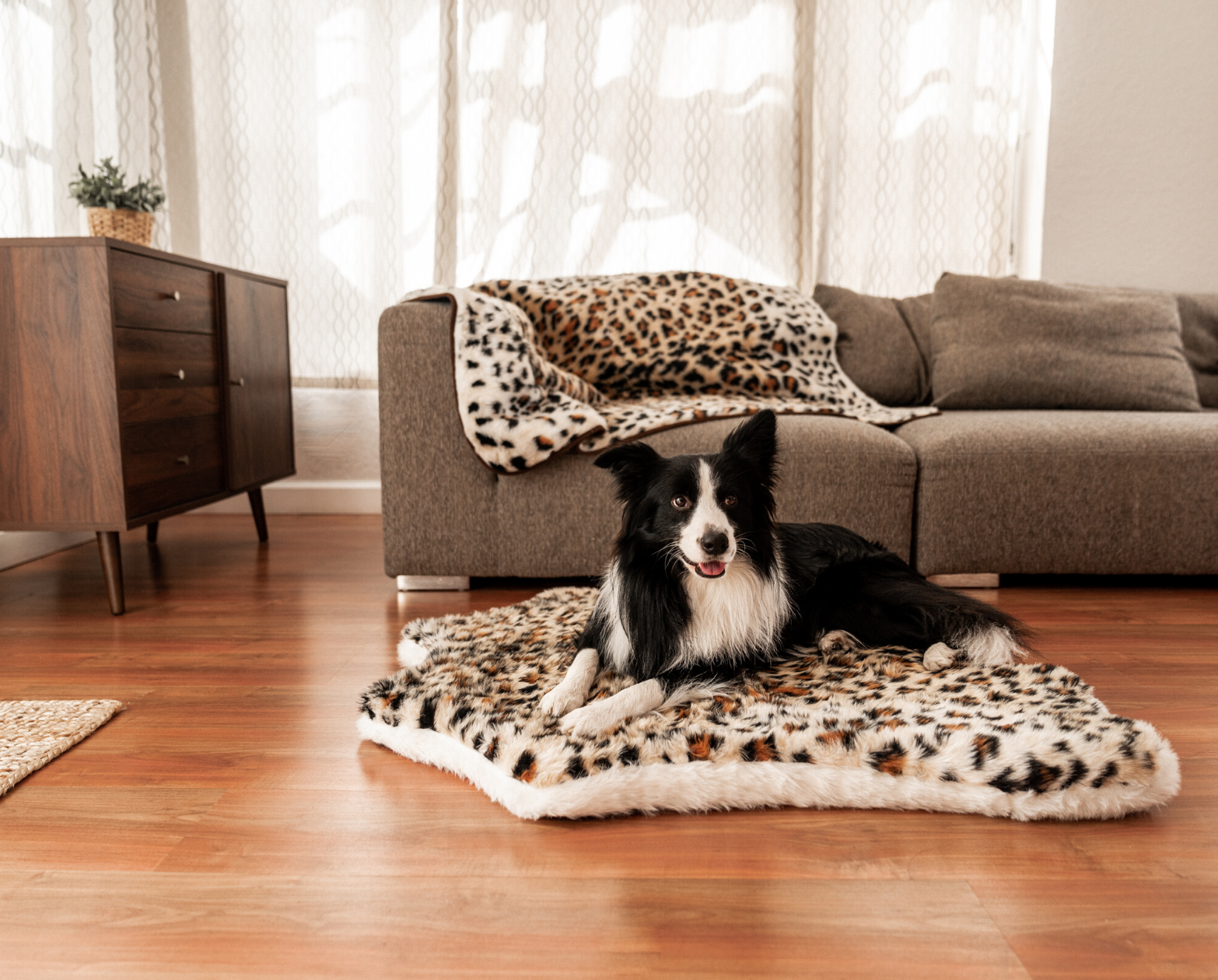 PupRug™ Junior Bundle - Memory Foam Bed, Cheetah Faux Print & Matching Waterproof Blanket