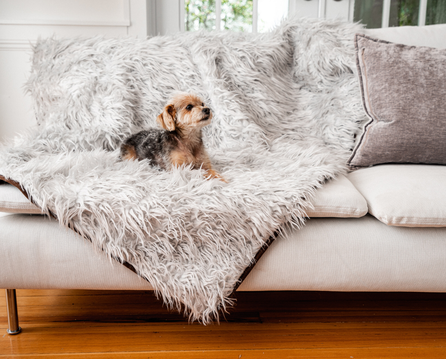 PupRug™ Mini Bundle - Orthopedic Bed, Grey + Matching Waterproof Blanket