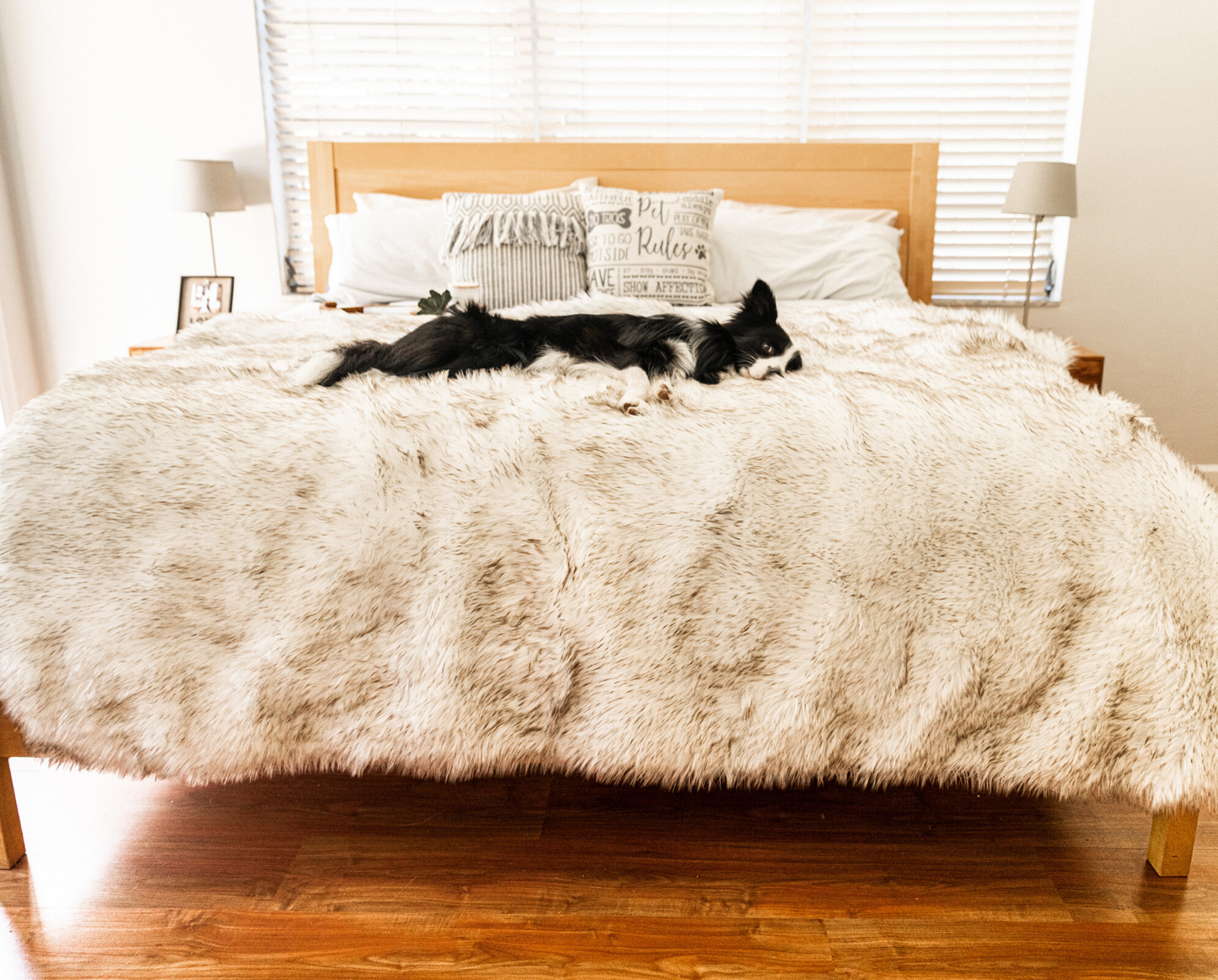 PupProtector™ Waterproof Throw Blanket - White