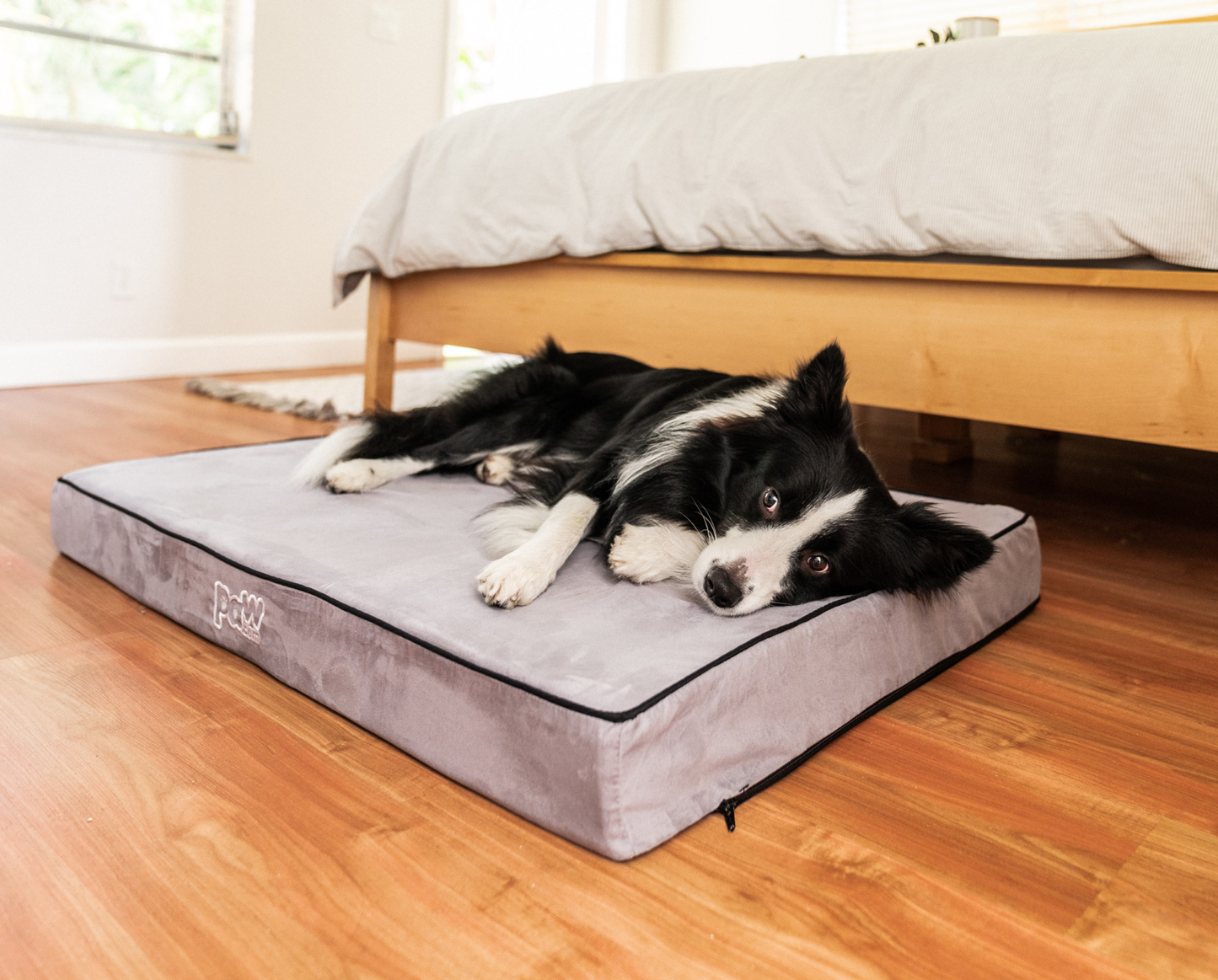 PupDream™ Memory Foam Orthopedic Dog Bed