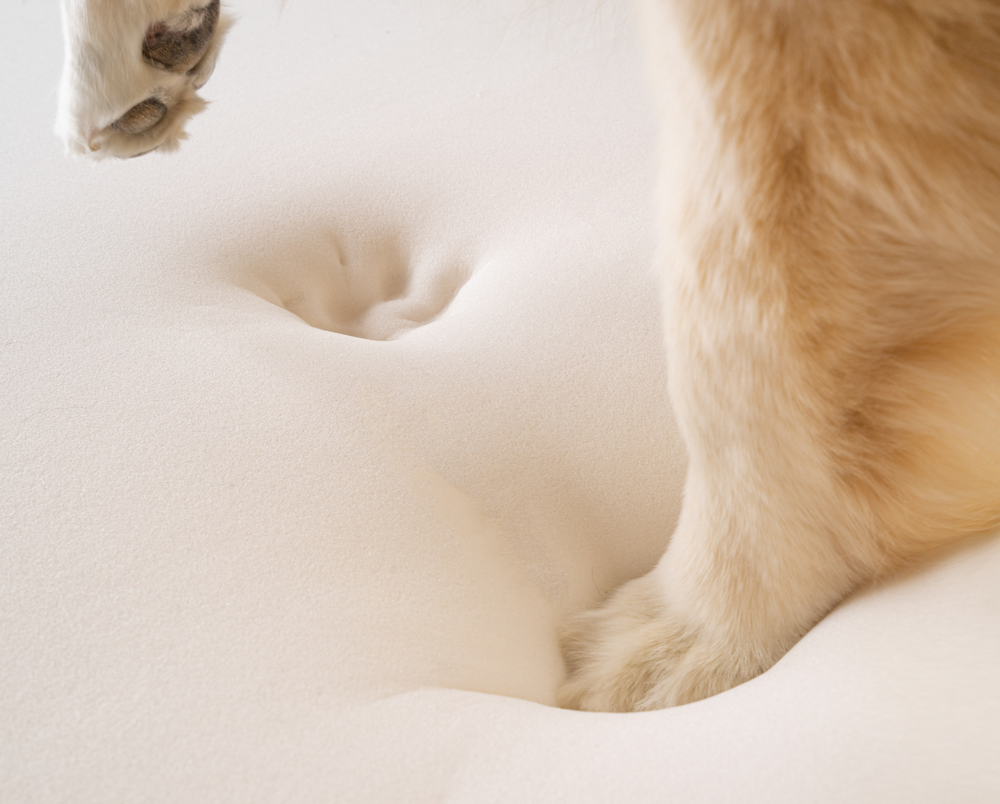 PupRug™ Faux Fur Orthopedic Dog Bed - Curve White