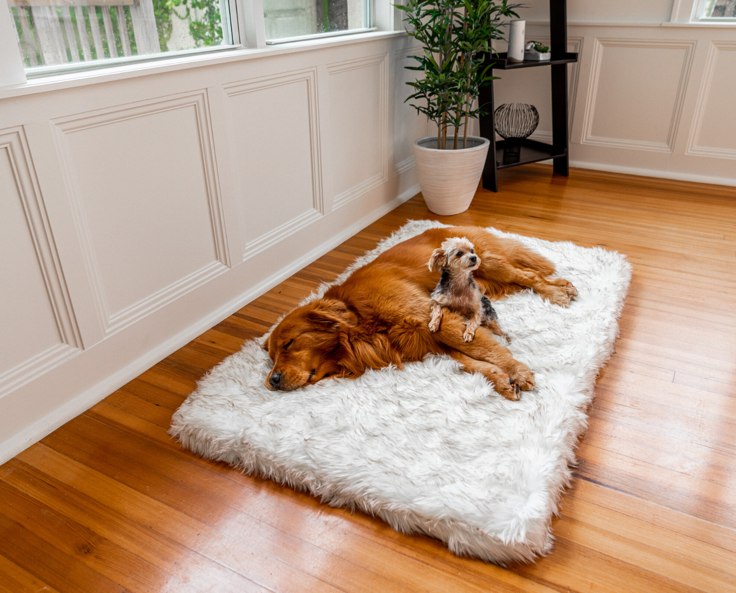PupRug™ Faux Fur Orthopedic Dog Bed - Rectangle White