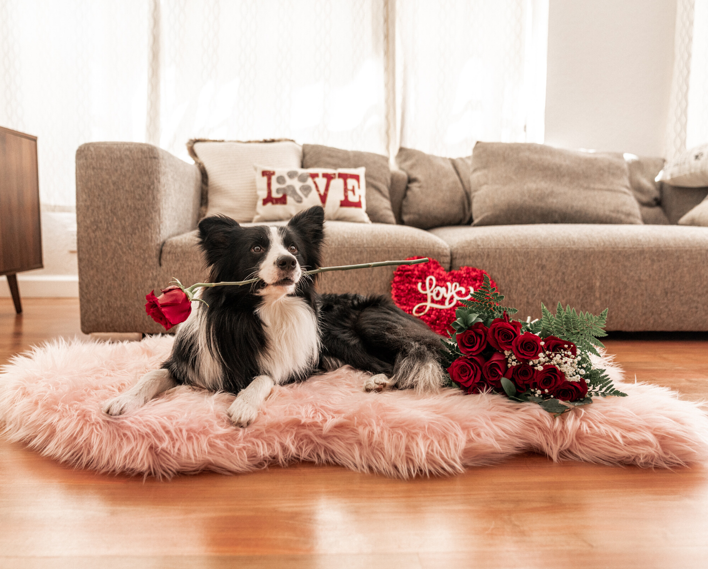 PupRug™ Faux Fur Orthopedic Dog Bed - Curve Blush Pink