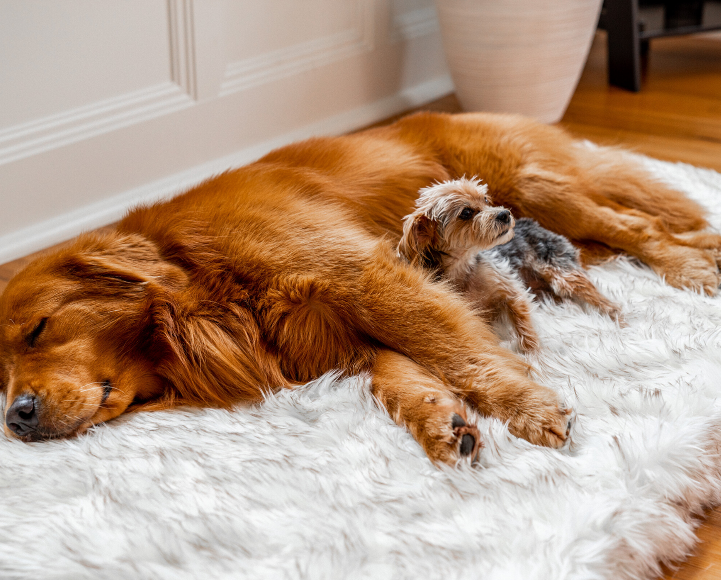 PupRug™ Faux Fur Orthopedic Dog Bed - Rectangle White