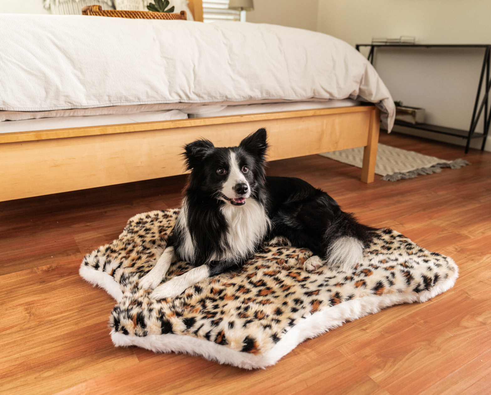 PupRug™ Animal Print Memory Foam Dog Bed - Cheetah Faux Print