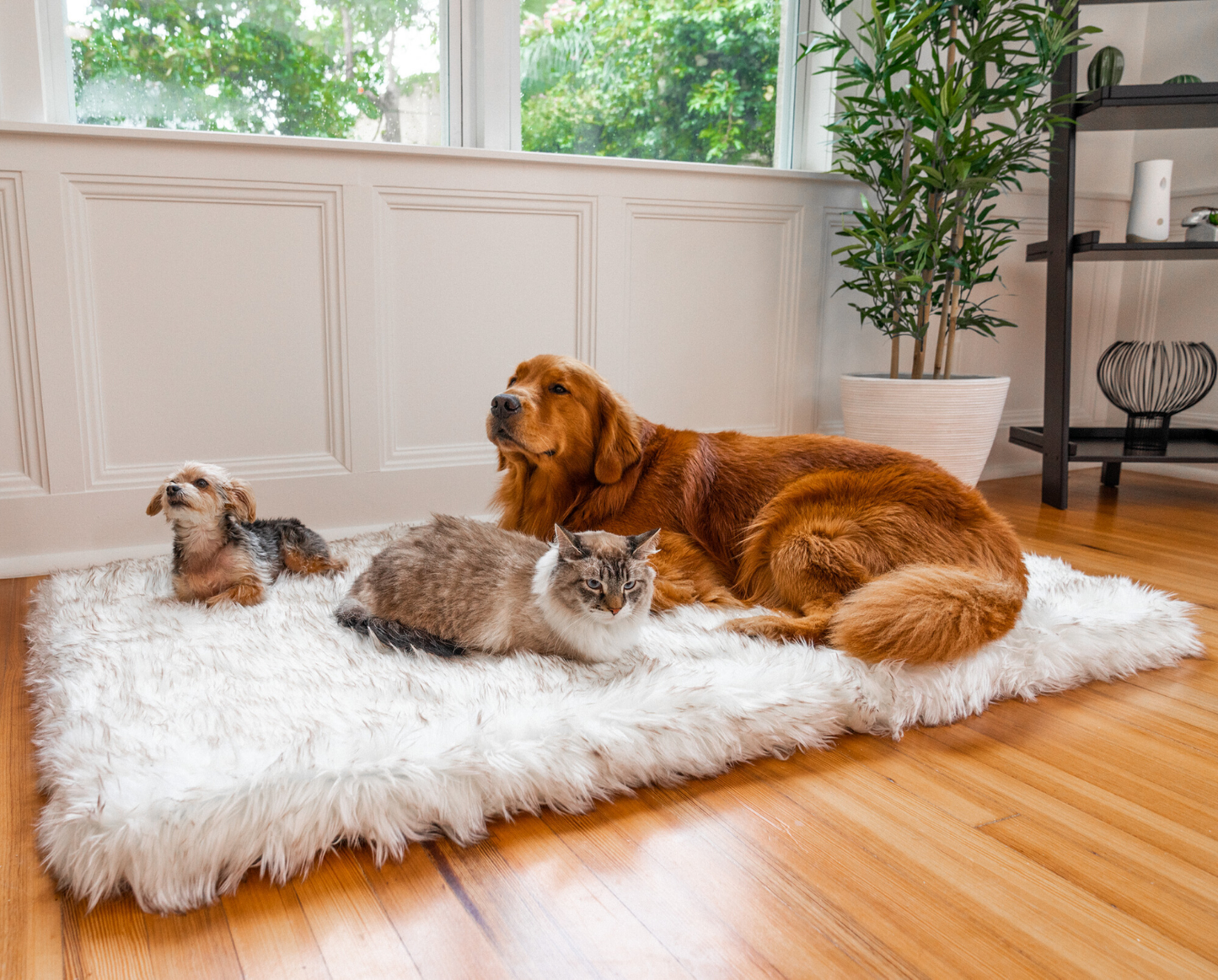 PupRug™ Faux Fur Orthopedic Dog Bed - Rectangle White