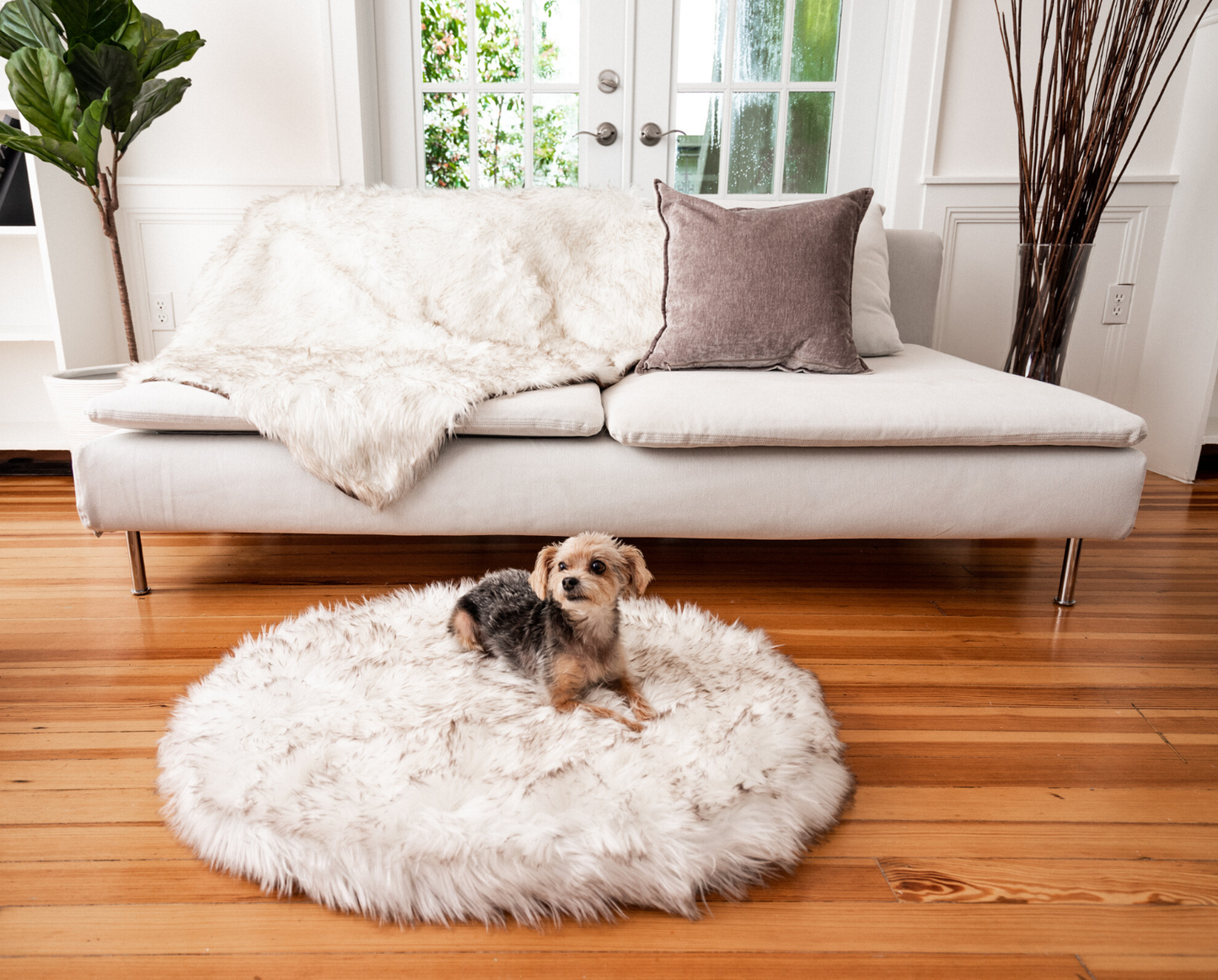 PupRug™ Mini Bundle - Orthopedic Bed, White + Matching Waterproof Blanket