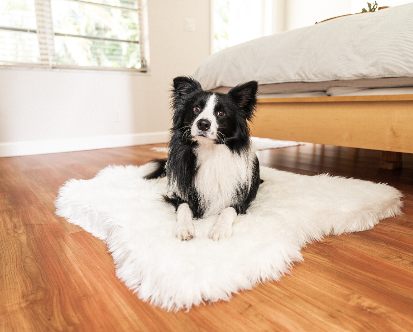 PupRug™ Animal Print Memory Foam Dog Bed - Polar Bear Faux Hide