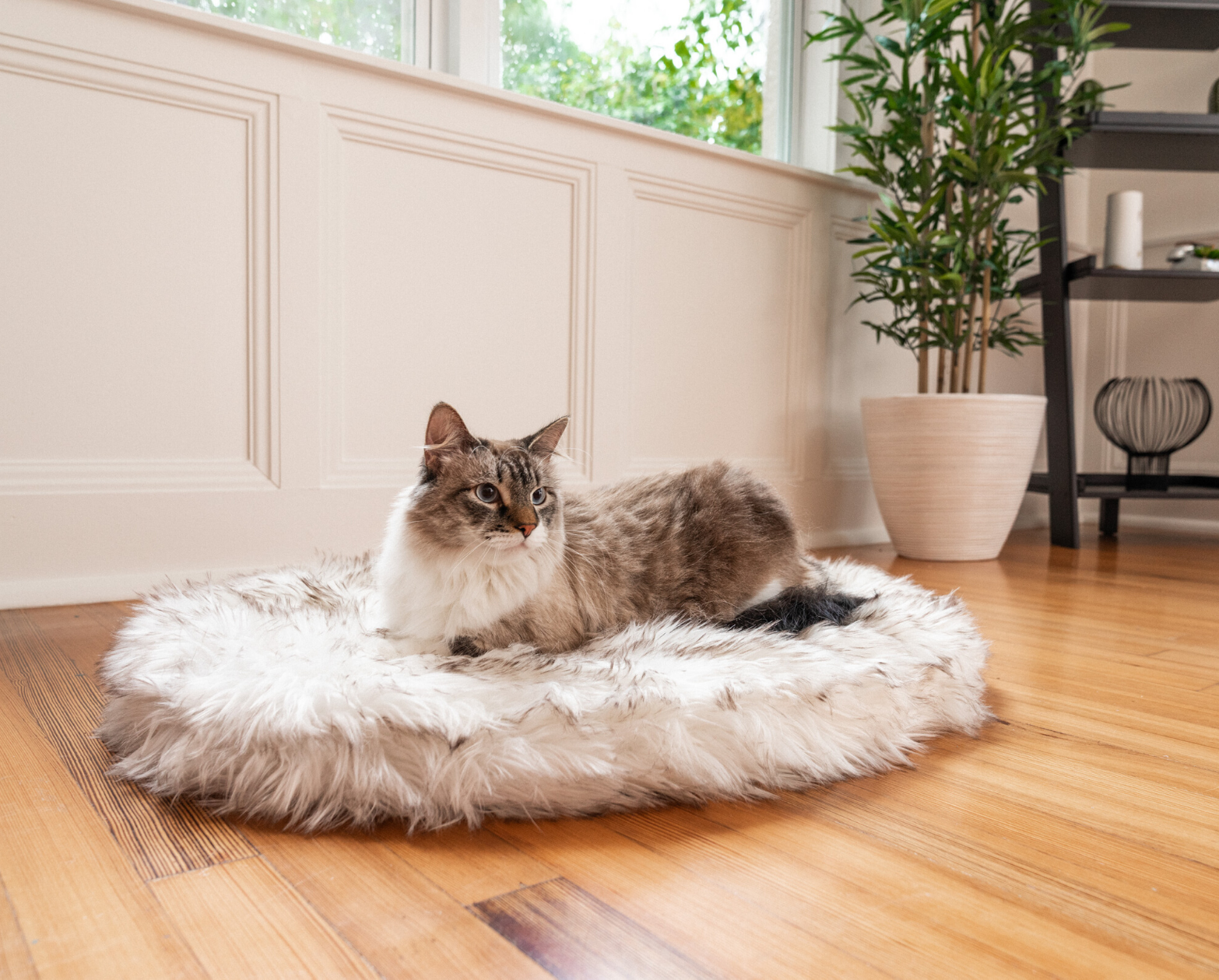 [TEST] CatTEST Faux Fur Memory  Foam Bed - Grey