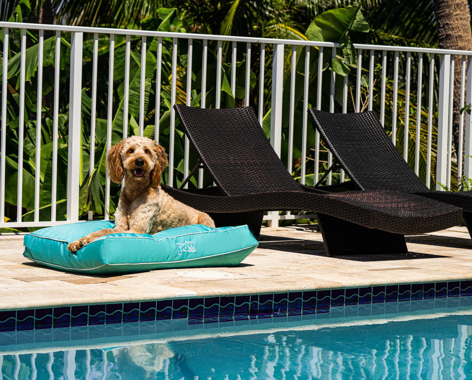 PupLounge™ All-Season Indoor/Outdoor Memory Foam Bed - Aqua Blue