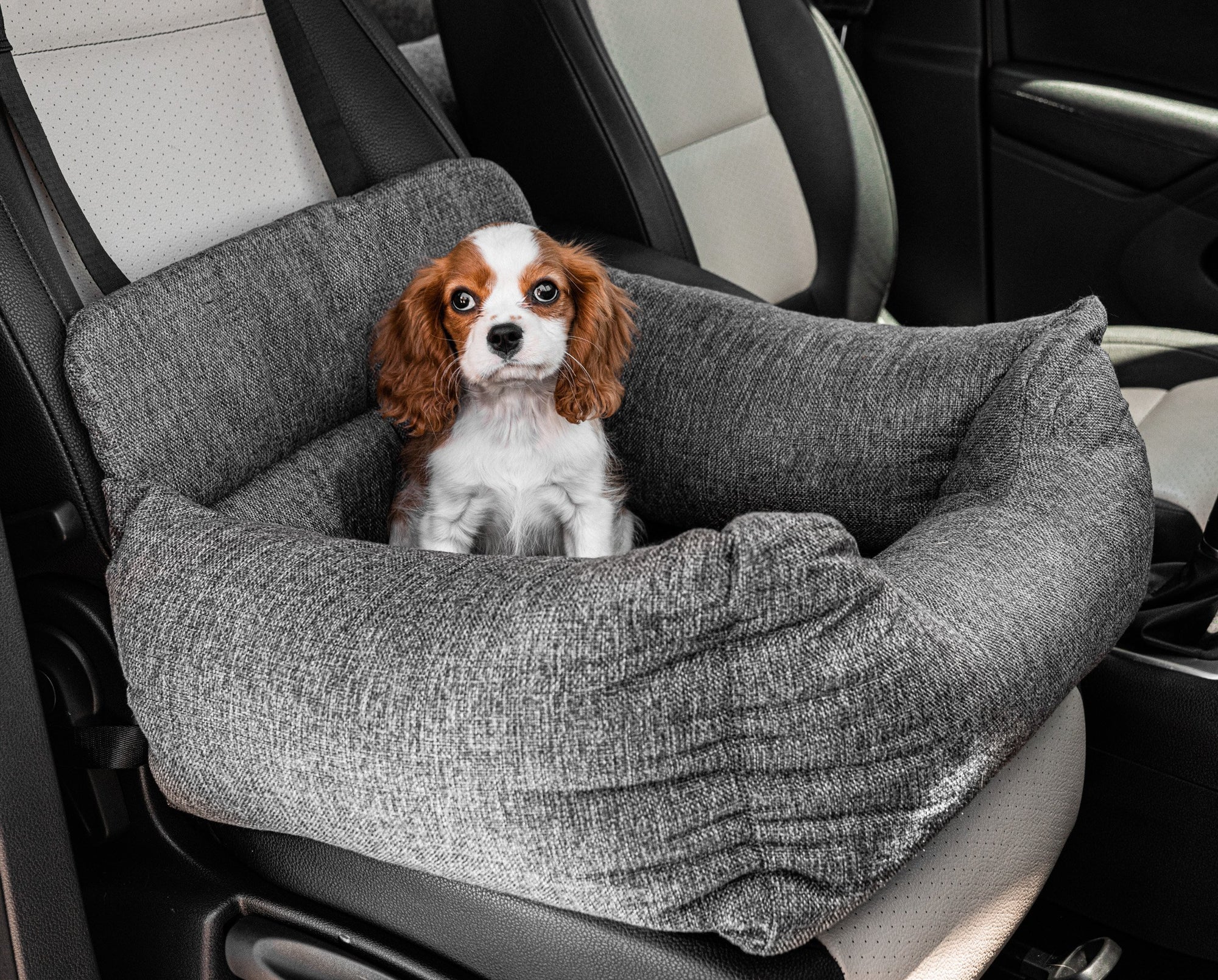 PupProtector™ Single Seat Memory Foam Car Bed