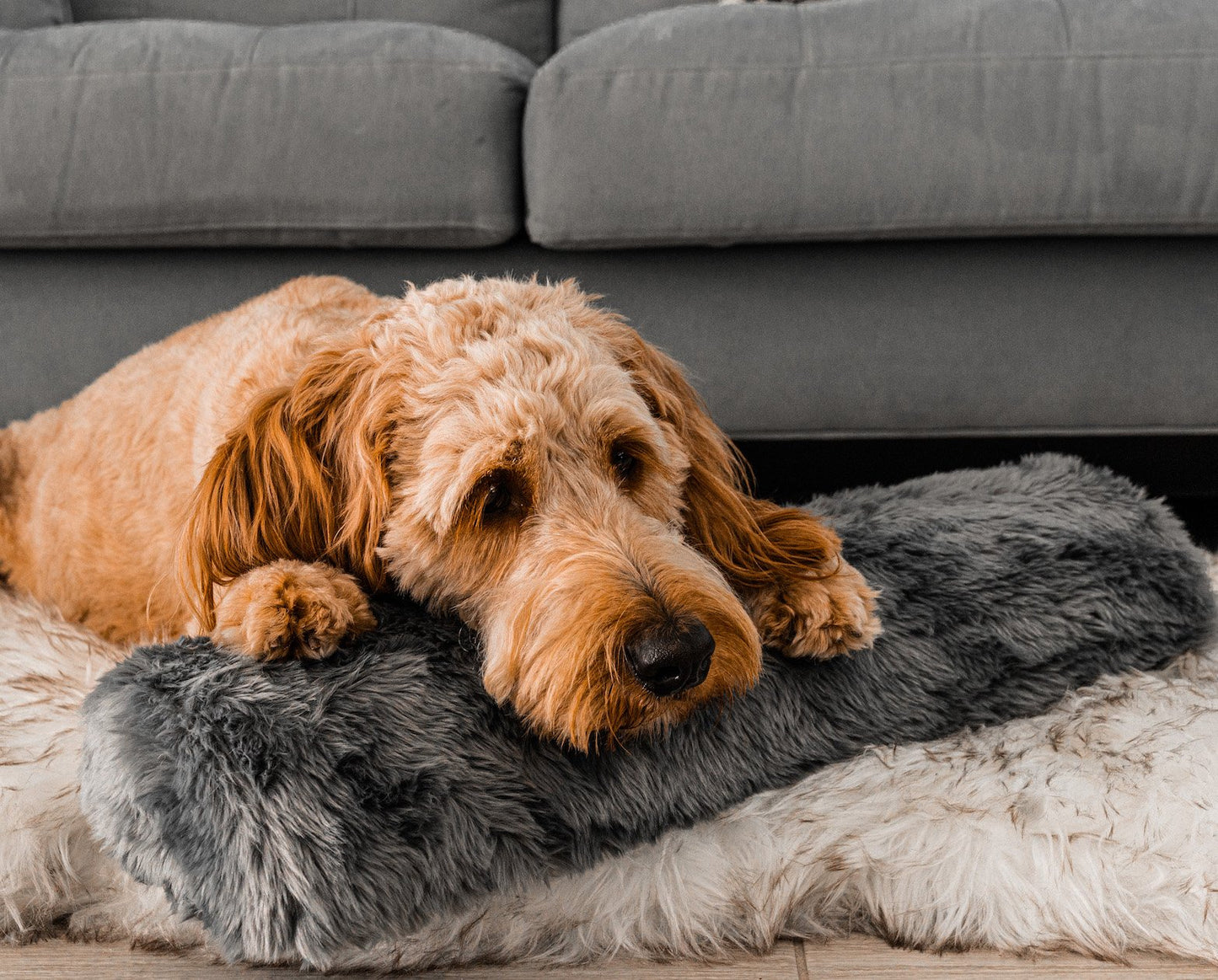 PupPillow™ Memory Foam Orthopedic Bolster Pillow