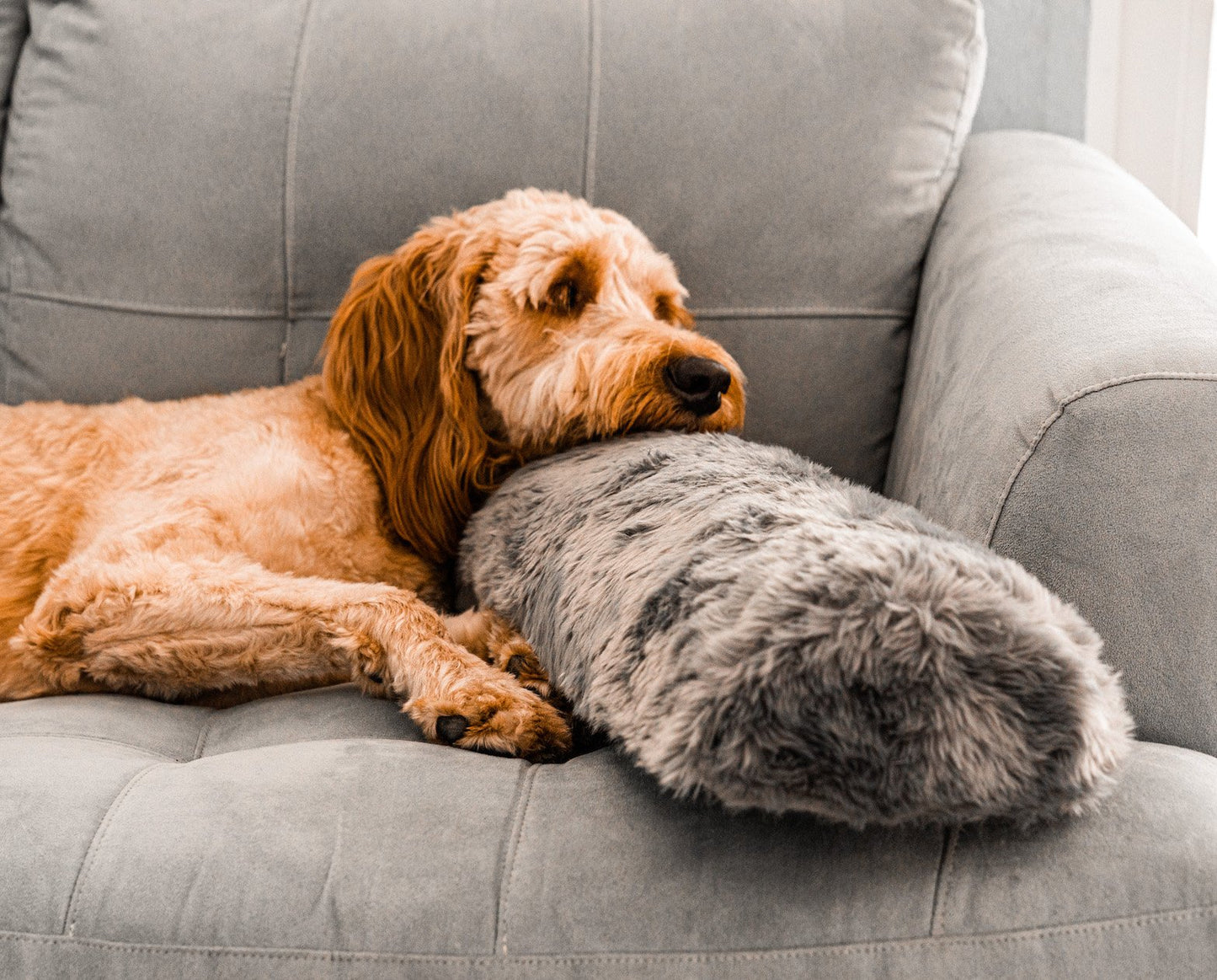 PupPillow™ Memory Foam Orthopedic Bolster Pillow