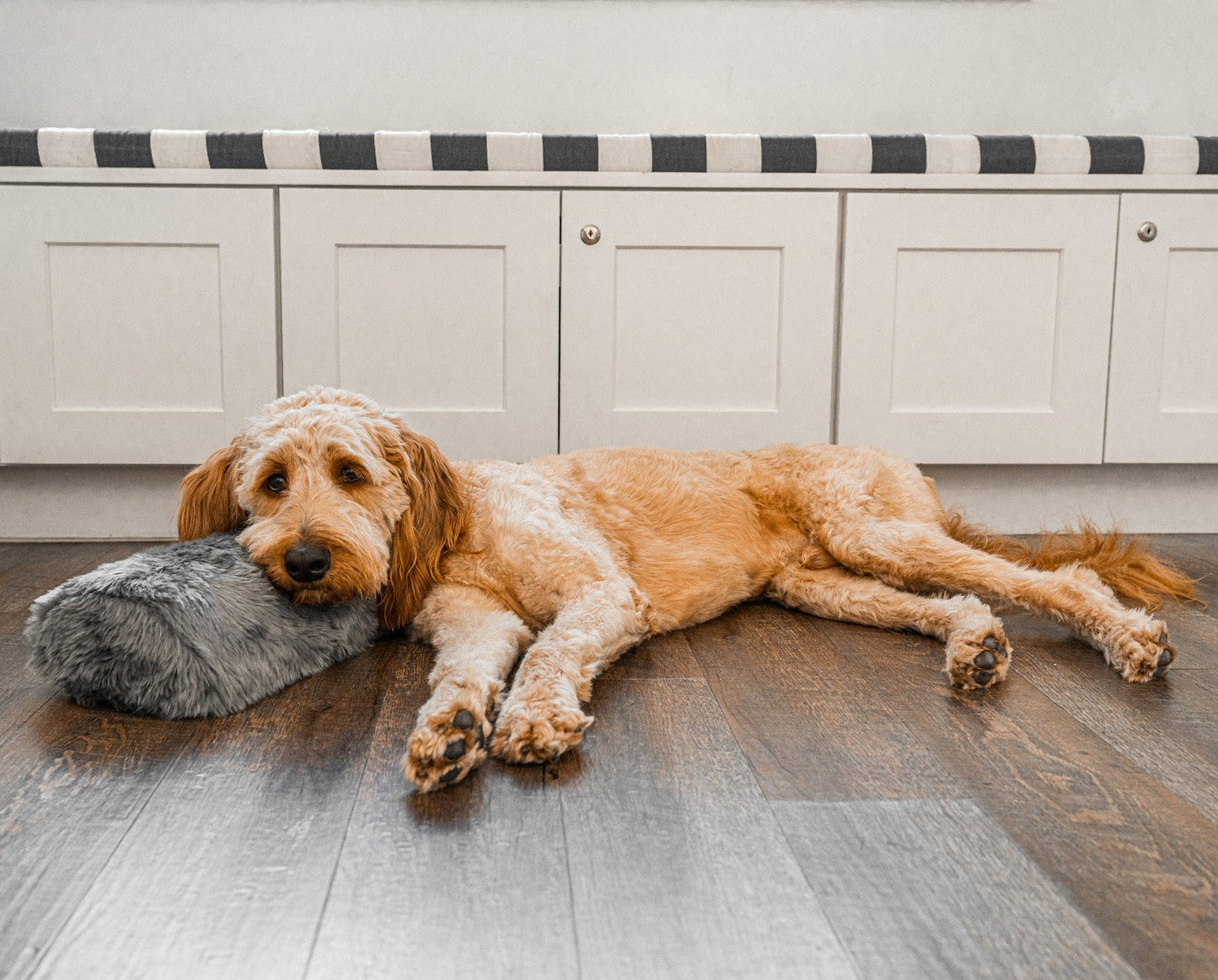 PupPillow™ Memory Foam Orthopedic Bolster Pillow