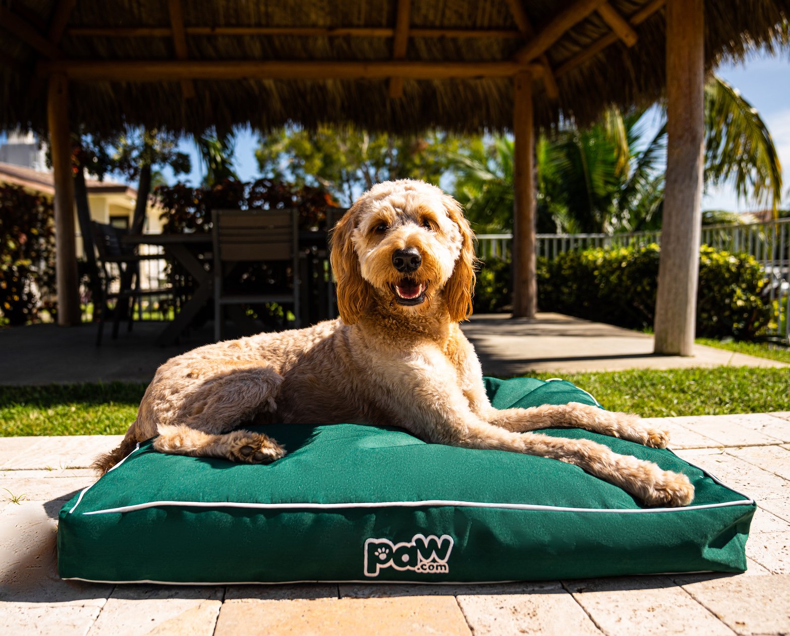 PupLounge™ All-Season Indoor/Outdoor Memory Foam Bed - Forest Green