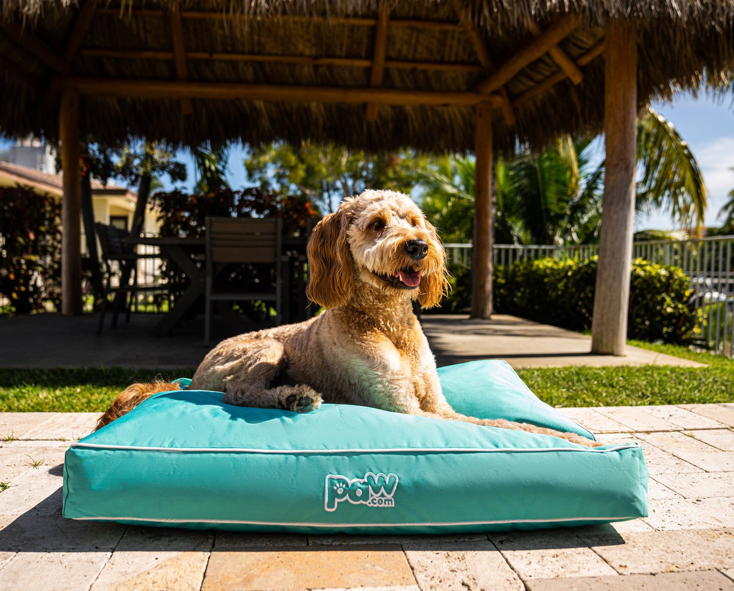 PupLounge™ All-Season Indoor/Outdoor Memory Foam Bed - Aqua Blue