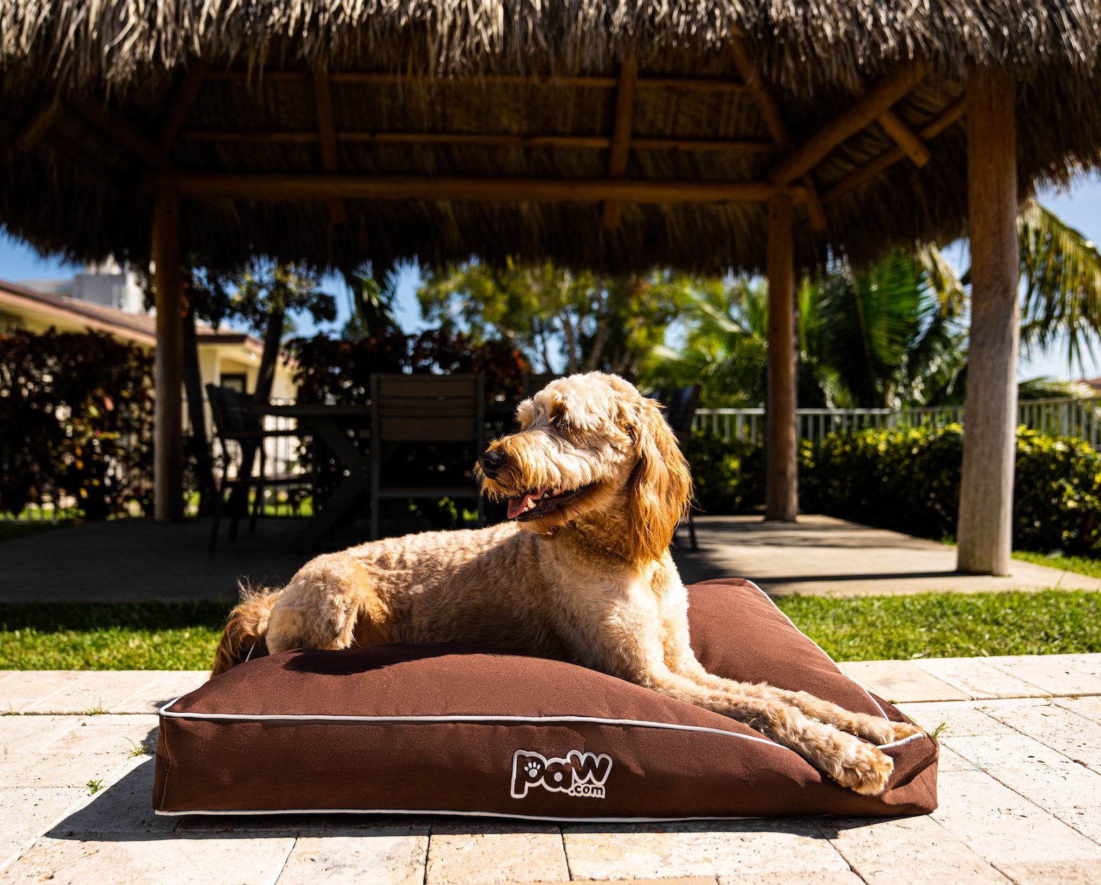 PupLounge™ All-Season Indoor/Outdoor Memory Foam Bed - Brown