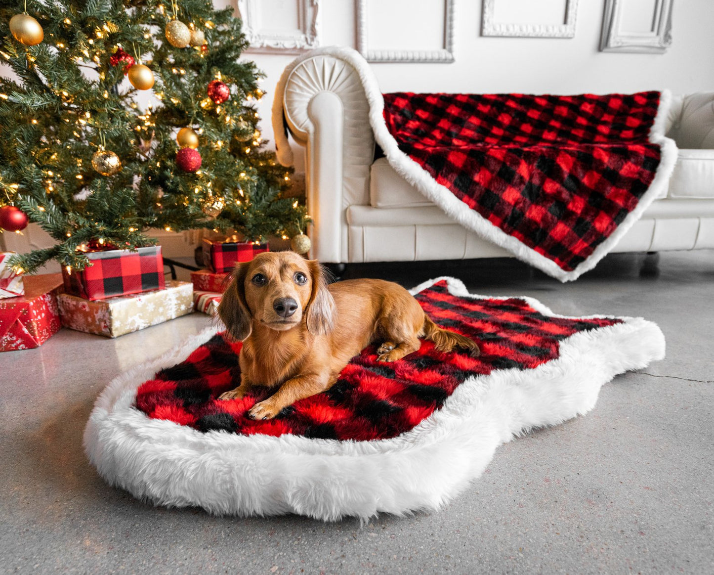 PupRug™ Bundle - Orthopedic Bed Curve, Winter Plaid + Matching Waterproof Blanket