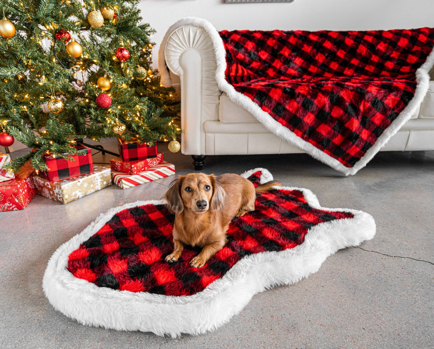 PupRug™ Bundle - Orthopedic Bed Curve, Winter Plaid + Matching Waterproof Blanket