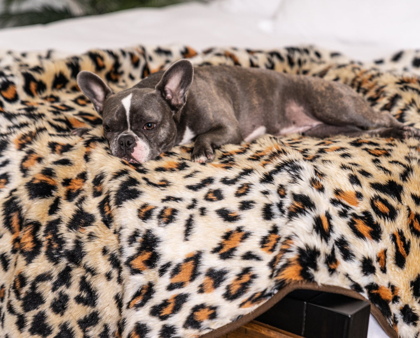 PupProtector™ Waterproof Throw Blanket - Cheetah Faux Print