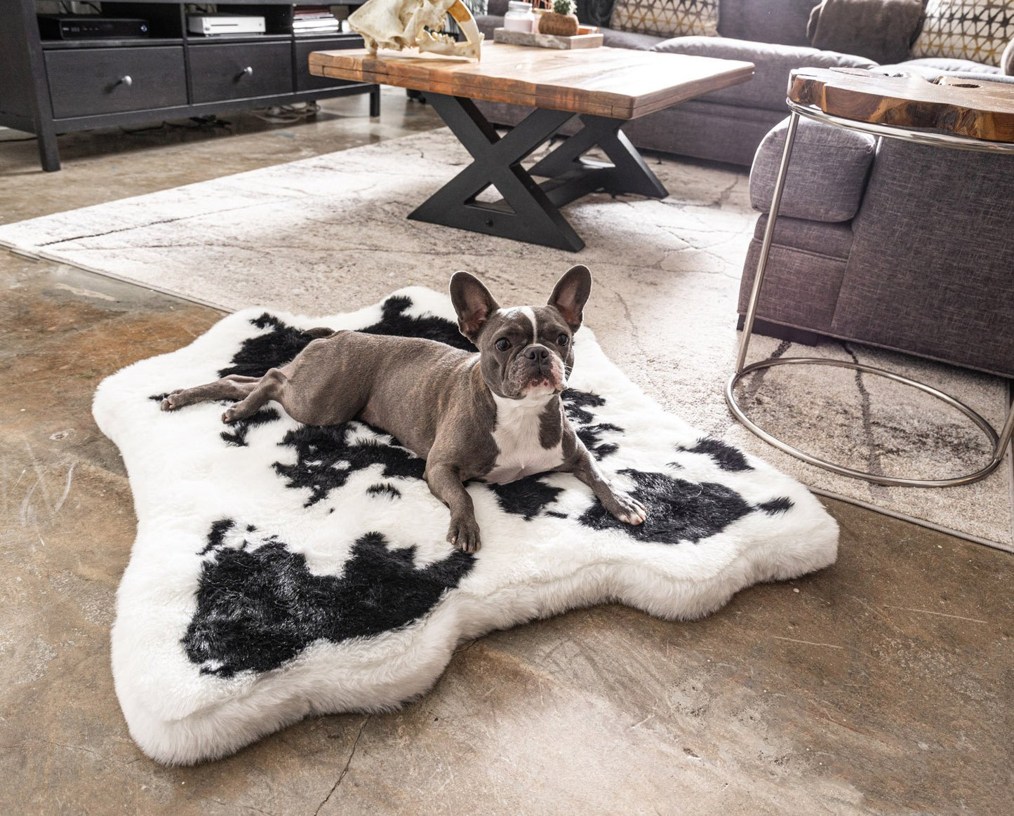 PupRug™ Junior Bundle - Memory Foam Bed, Black Faux Cowhide & Matching Waterproof Blanket