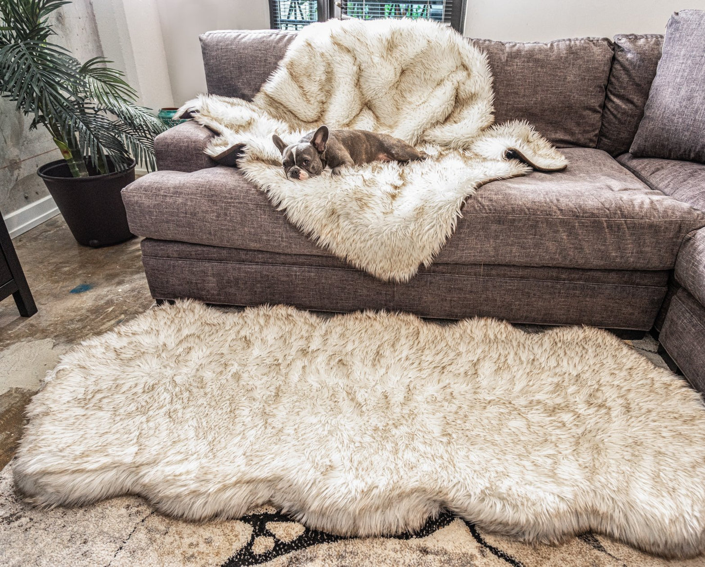 PupRug™ Bundle - Orthopedic Bed Runner Curve, White + Matching Waterproof Blanket