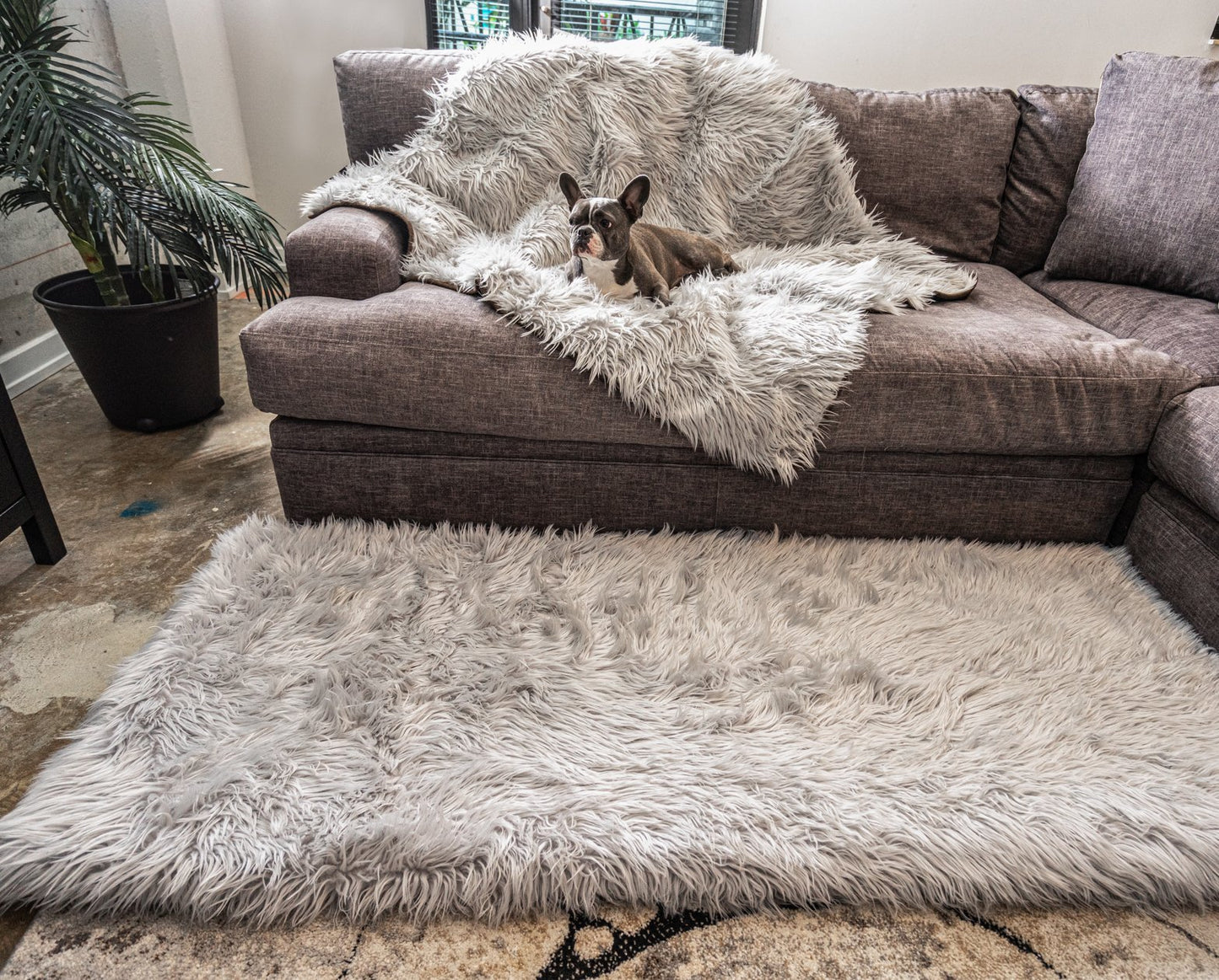 PupRug™ Bundle - Orthopedic Bed Runner Rectangle, Grey + Matching Waterproof Blanket