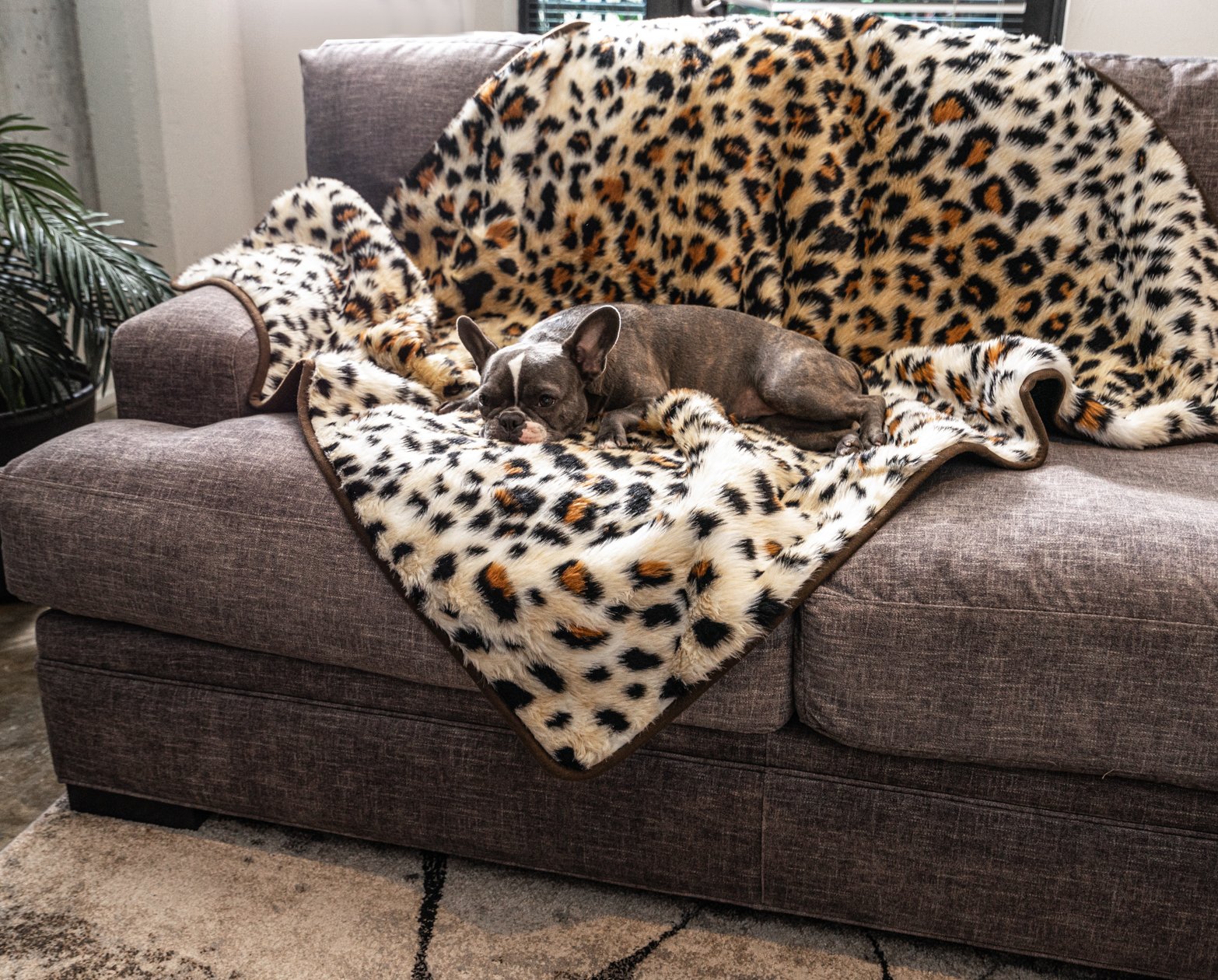 PupProtector™ Waterproof Throw Blanket - Cheetah Faux Print