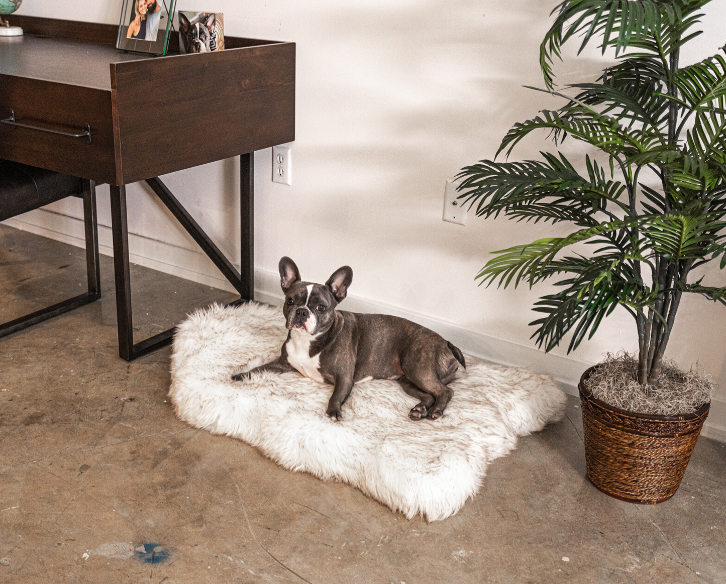 PupRug™ Faux Fur Orthopedic Dog Bed - Curve White
