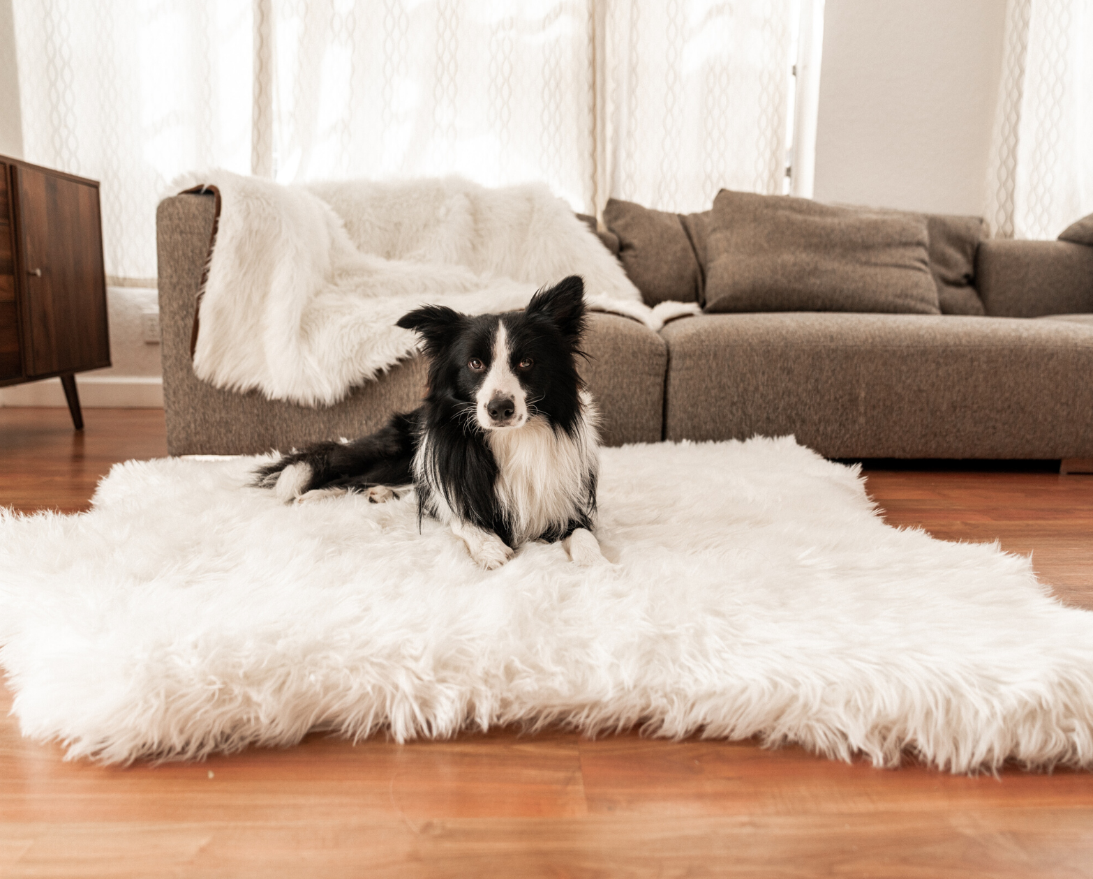 PupRug™ Bundle - Memory Foam Bed, Polar Bear Faux Hide & Matching Waterproof Blanket