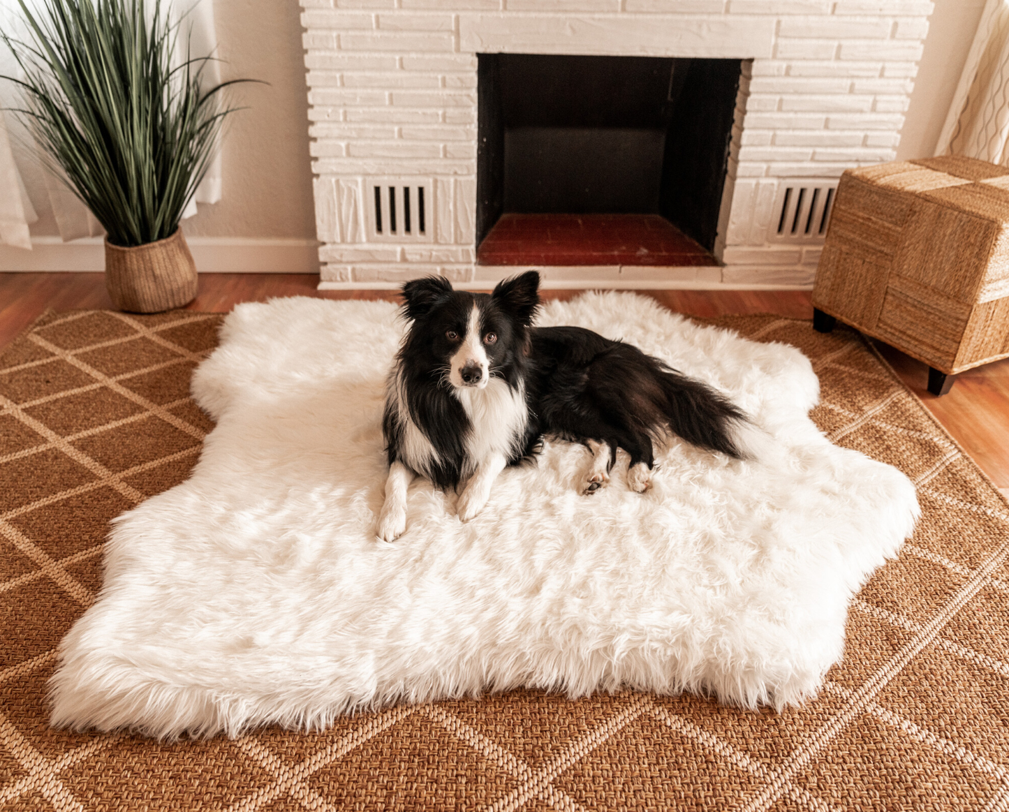 PupRug™ Bundle - Memory Foam Bed, Polar Bear Faux Hide & Matching Waterproof Blanket