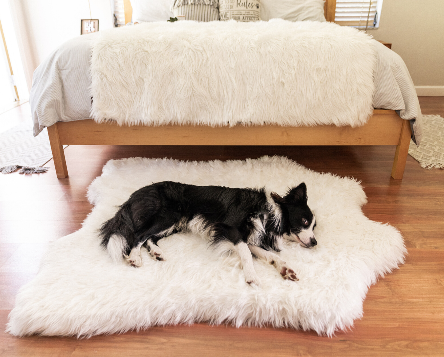 PupRug™ Bundle - Memory Foam Bed, Polar Bear Faux Hide & Matching Waterproof Blanket