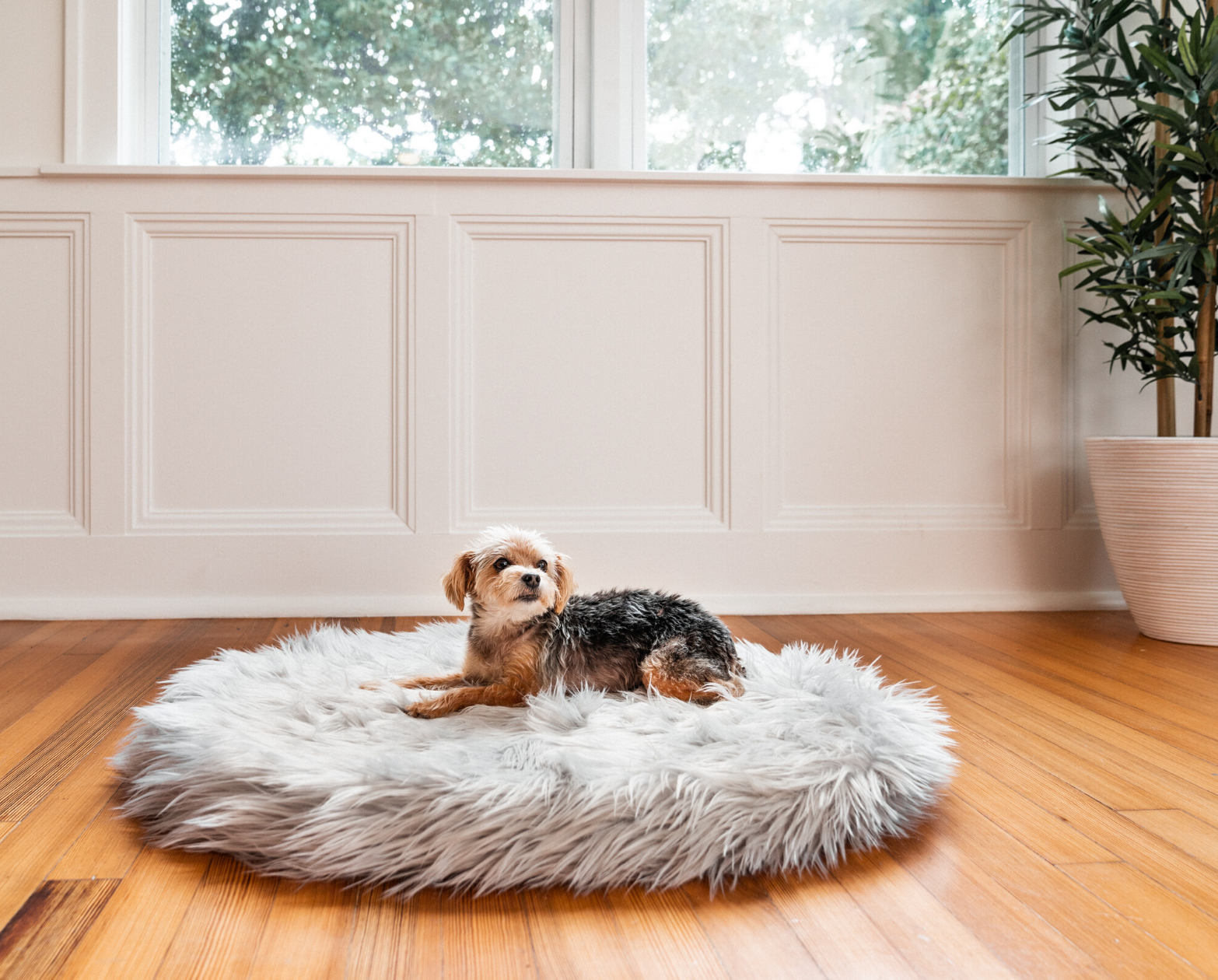 PupRug™ Mini Faux Fur Orthopedic Dog Bed - Grey