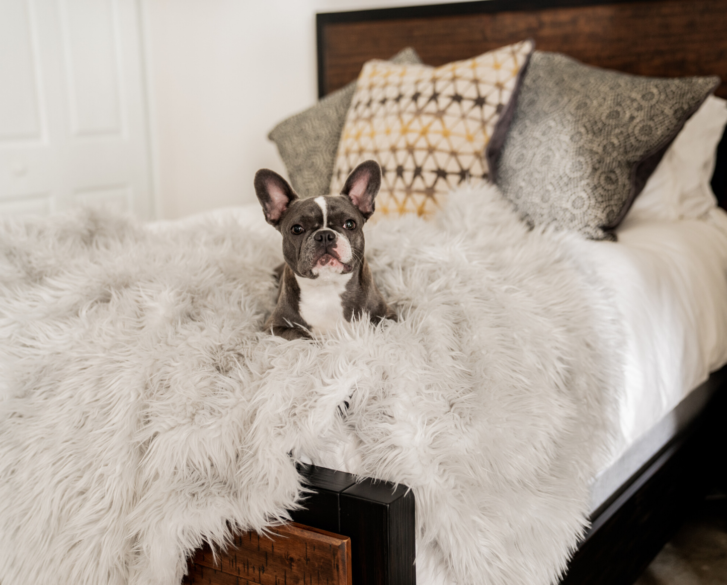 PupRug™ Bundle - Orthopedic Bed Rectangle, Grey + Matching Waterproof Blanket