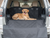 PupProtector™ Dog Cargo Liner