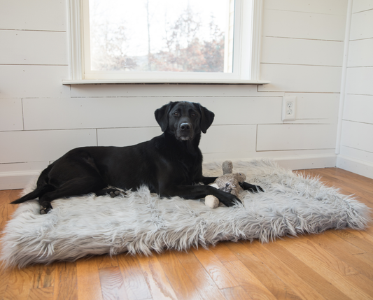 PupRug™ Faux Fur Orthopedic Dog Bed - Rectangle Grey