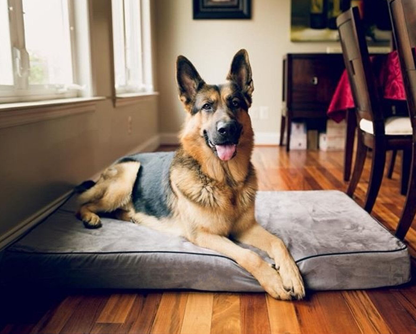 PupDream™ Memory Foam Orthopedic Dog Bed